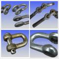 Hot Dip Galvanzied Steel Forged Eye Bolts
