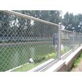 Customized Color PVC Coated Gavlvanized Chain Link Mesh Fence