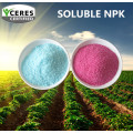 Custom Fecilizer soluble chimique NPK 19-19-19