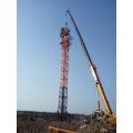 4t High Quality Low Price Self-elevating Tower Crane