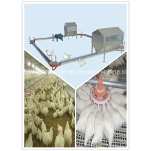 Poultry Farm Equipment of Breeder Chain Feeding System