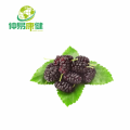 Mulberry Fruit Powder Mulberry Fruit Extract Powder