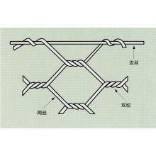 Treillis métallique hexagonal avec la qualité