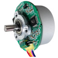 37V Brushless Motor, 250W Brushless DC Motor & Brushless Motor for Lawn Mower Customizable