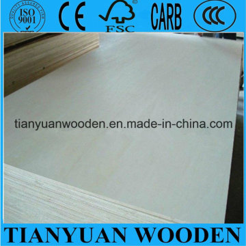 12mm White Bleached Poplar Plywood