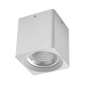 Dimmable 10-40W Surface Mounted COB LED Downlight