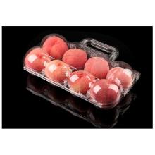 Einweg tragbare 8pack Apfel Obst Box
