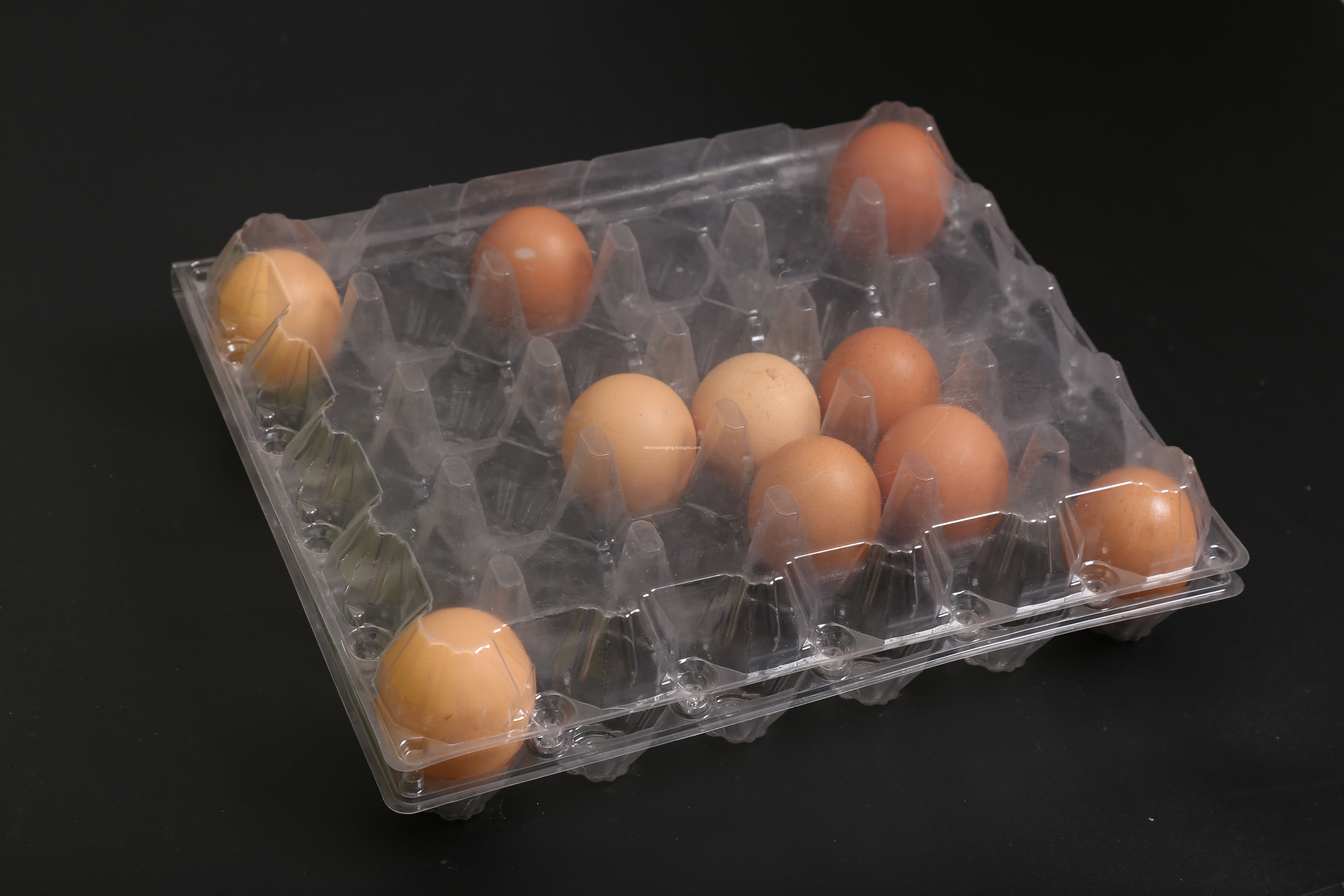 plastic chicken egg cartons