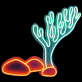 SEA PLANT LED NEON SIGNS