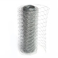 Malla de alambre de pollo hexagonal de galvanizado/PVC 25 mm de 25 mm