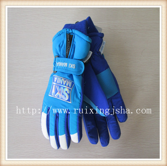 Man ski gloves 