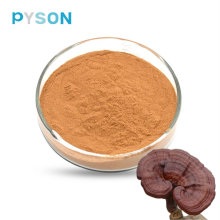 Reishi Mushroom Extract Natural health care products