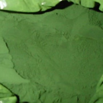 High Absorptivity Cell Wall Broken Chlorella Powder