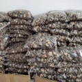 Quality Dehydrated Shiitake Mushrooms