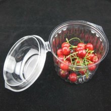 Caja de empaquetado de plástico de fruta