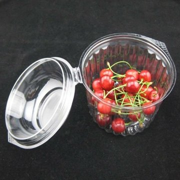 Fruit Plastic Packaging Box