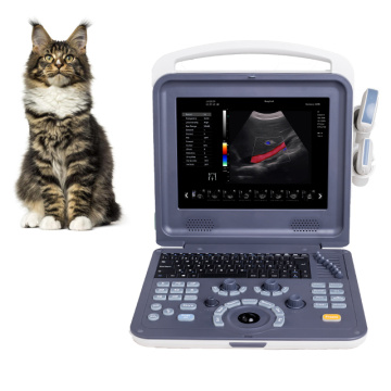 Tableta veterinaria máquina de ecografía Doppler 4D color