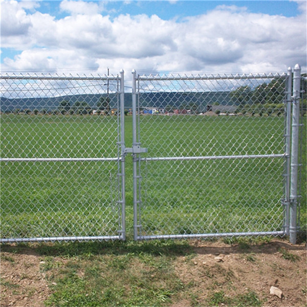 Chain Link Field Fence