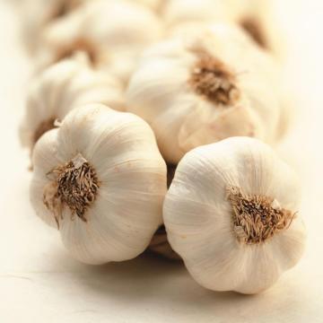 2016 Zuschneiden neuer weißen Knoblauch zum Verkauf