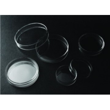 Glass Petri Dish