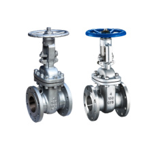 Stainless steel OS&Y WCB Gate valve