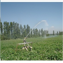 maquinaria de cultivo de hortalizas