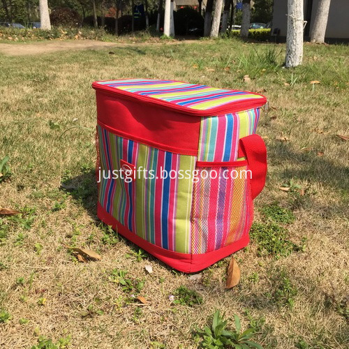 Item Name-Promotional Vertical Stripe Henkel Cooler Bags_4