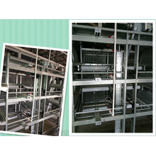 New Design and Large Capacity of Full Automatic Broiler Cage