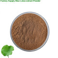 weight loss lotus leaf extract