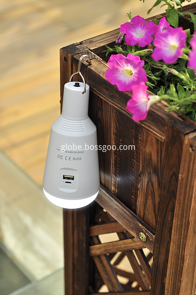 LED Bulb Light