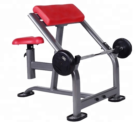 arm curl bench arm curl bench