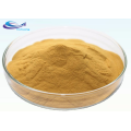 Organic Soybean Extract Soy Isoflavones Powder