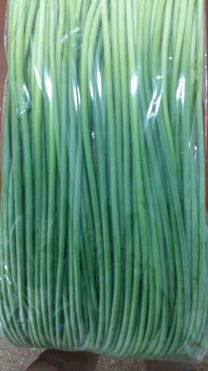 Fresh Garlic Shoots