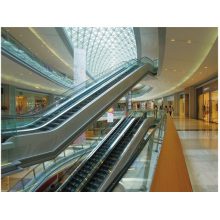 Shopmall Project Escalator