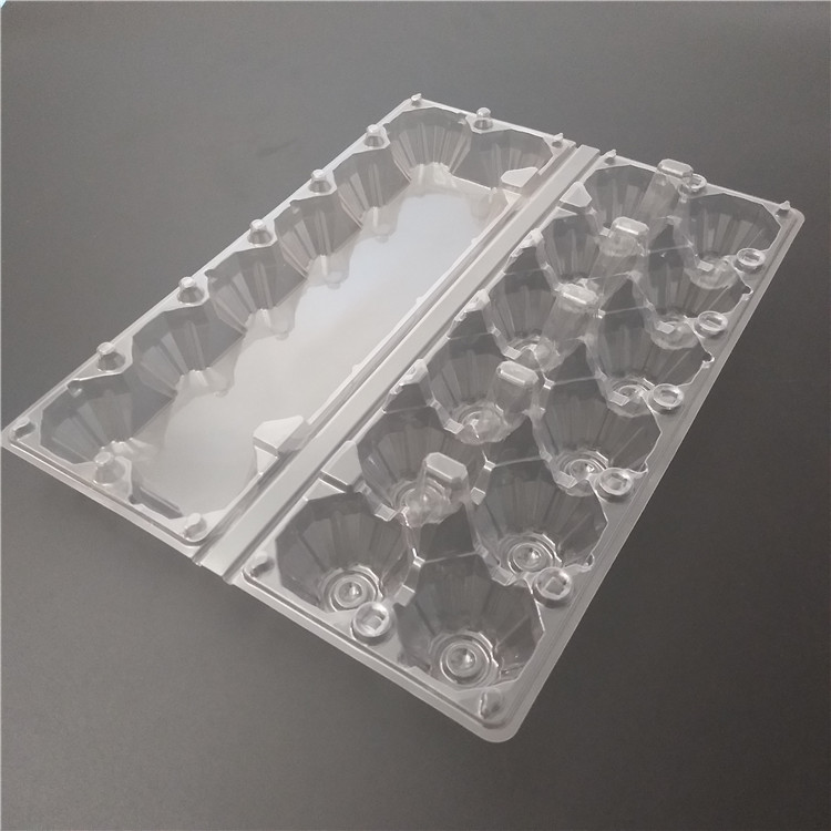 dozen clear egg carton