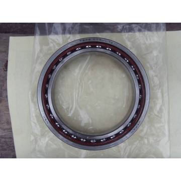 Double Row Angular Contact Ball Bearing (3056213/3213YM)