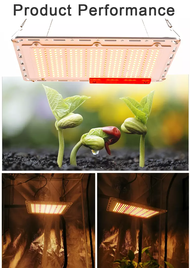 GROW LIGHT