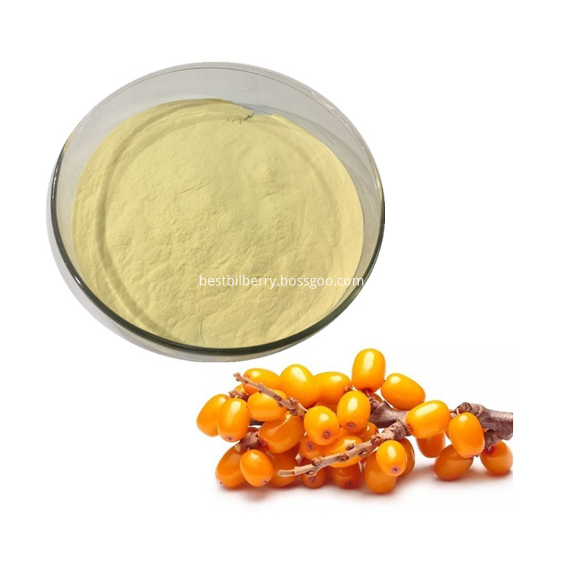 Sea Buckthorn Powder