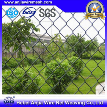 Galvanizado / PVC Revestido Chain Link Fence, Sport Fence