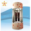 Sightseeing glass panoramic lift passenger elevator