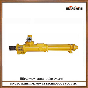 screw water pump