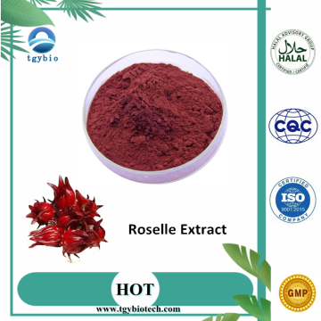 Factory Supply Water Soluble Roselle Extract Powder