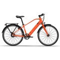 OEM meilleur vélo e abordable