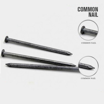 All Size Galvanized Long Nail with Nice Price