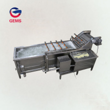 Industrial Cucumber Washer Machine Grape Washing Machine