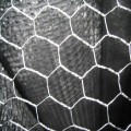 Clôture galvanisée de grillage de poulet/maille hexagonale d&#39;Anping