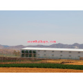 Steel Construction in Poultry House with Free Design and Efficient Installation