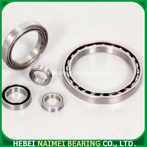 Bearing 6900