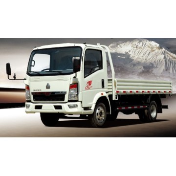 Sintruk HOWO Light Duty Cargo Truck 4X2