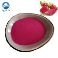 Poudre de pitaya en poudre de fruit du dragon rouge lyophilisée